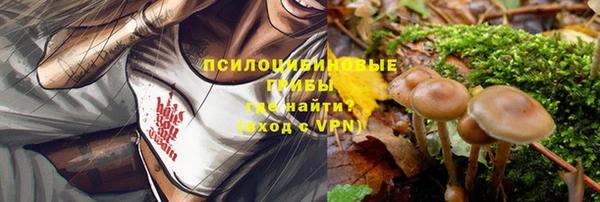 ешки Лиски